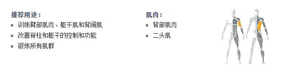 广州麻豆精品在线免费观看健身器材