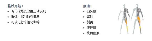 广州麻豆精品在线免费观看健身器材