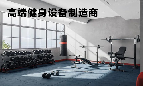 高端健身设备制造商：科技与健康的完美融合