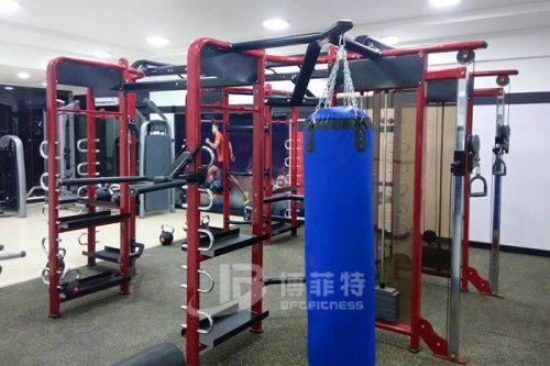 麻豆精品在线免费观看印度客户健身房案例