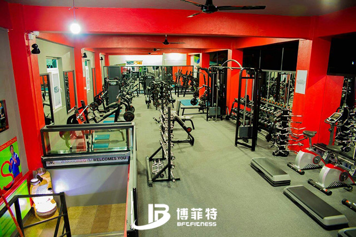 麻豆精品在线免费观看案例 毛里求斯客户的健身房图片