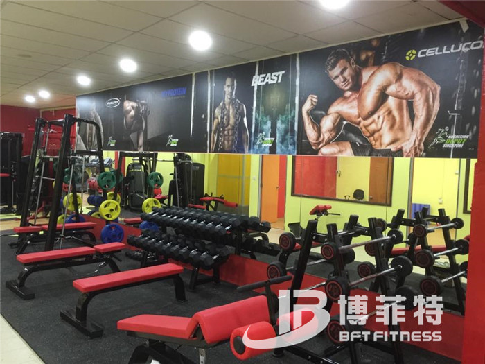 麻豆精品在线免费观看客户健身器械
